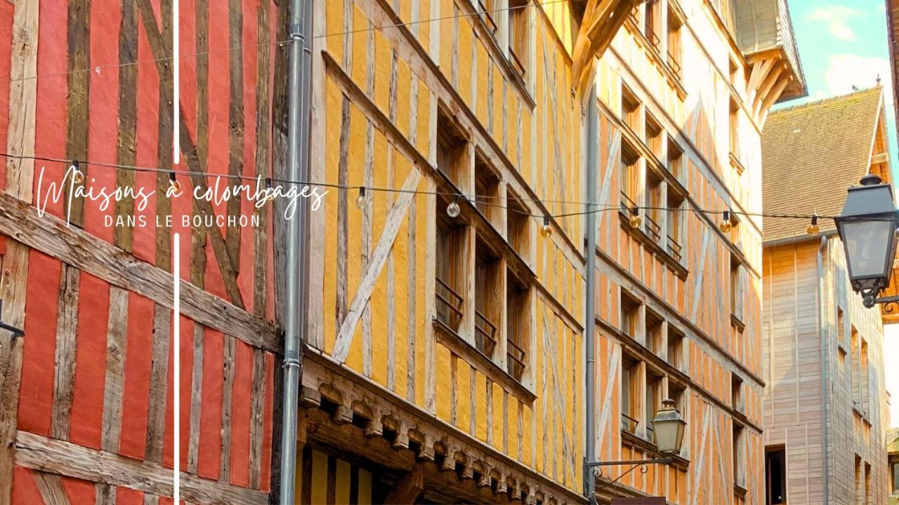 Вилла Le Cordelier - Jardin En Plein Centre - Quais De Seine Труа Экстерьер фото